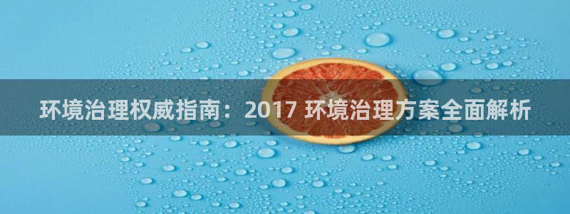 凯发k8国际(中国)官方网站·一触即发：环境治理权威指南：2017 环境治理方案