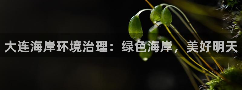 凯发网娱乐官网登录