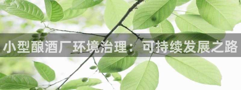 凯发k8国际手机下载|小型酿酒厂环境治理：可持续发展之路