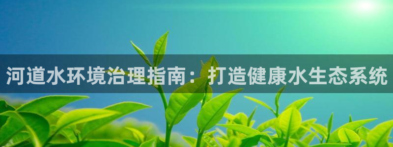 凯发k8旗舰厅注册登录|河道水环境治理指南：打造健康水生态系统